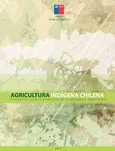 Agricultura Indígena Chilena: Información Social y Productiva según Etnia